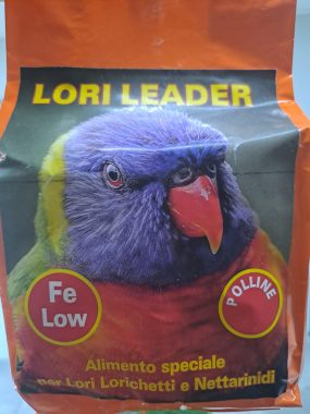 Lori Leader