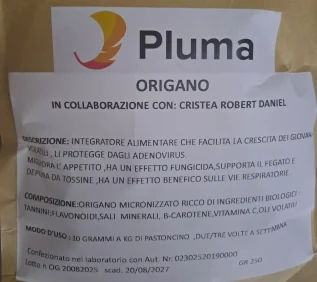 Origano Pluma