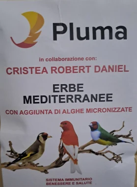 Erbe Mediteranee Pluma