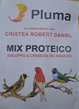 Mix Proteico