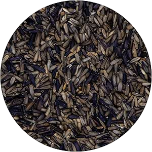 Girasole Micro Premium