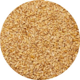 Semi Di Lino