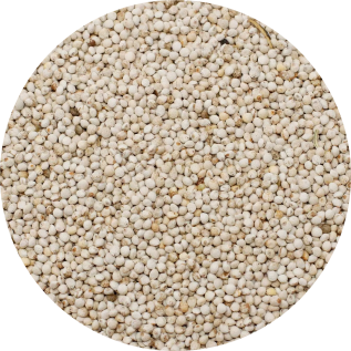 Semi Di Perilla Bianca