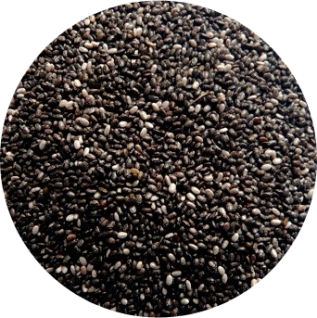 Semi di Chia