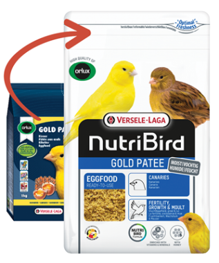 Canarini Gold Patee Giallo