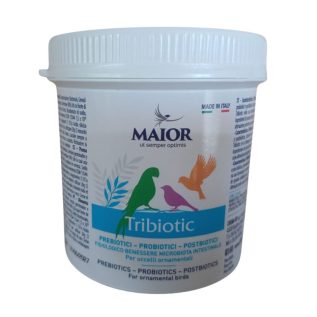Tribiotic Major