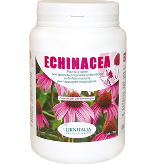 ECHINACEA PURPUREA