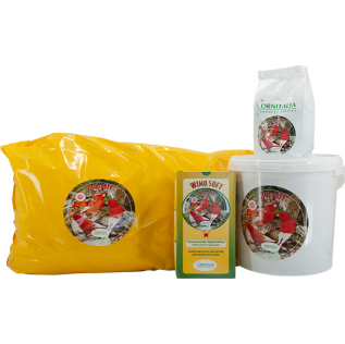 WIMO SOFT ROSSO